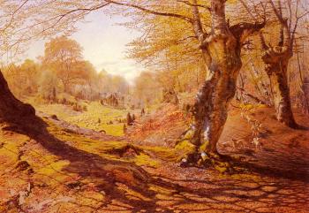 Andrew MacCallum : Seasons In The Wood-Spring, The Outskirts Of Burham Wood